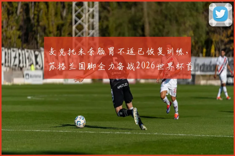 麦克托米奈肠胃不适已恢复训练,苏格兰国脚全力备战2026世界杯首战